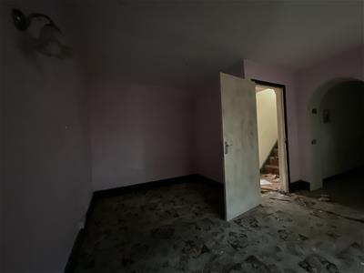 Picture 24